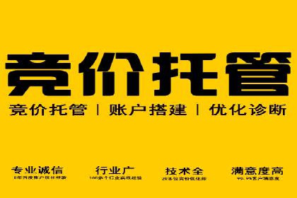 案例展示：托管竞价SEM助力企业转型